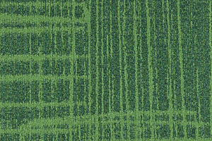 Ковровая плитка Milliken Per Contra 2.0 ist 141-203 Teach фото  | FLOORDEALER